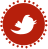 twitter-icon